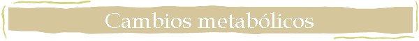 Cambios metab�licos
